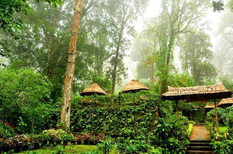 The Tall Trees Munnar Esterno foto