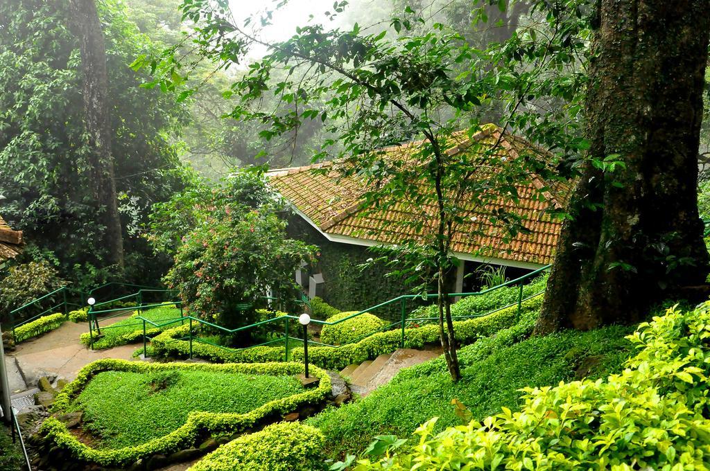 The Tall Trees Munnar Esterno foto