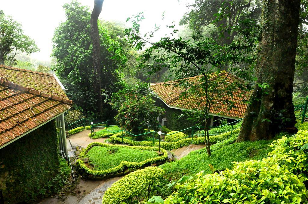 The Tall Trees Munnar Esterno foto