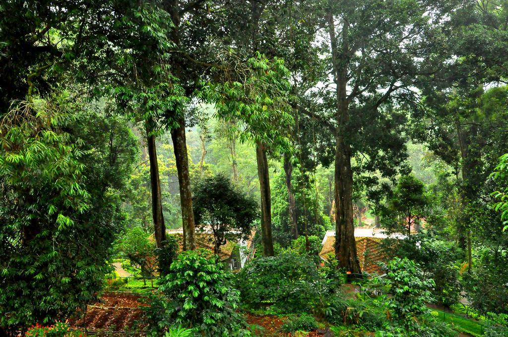 The Tall Trees Munnar Esterno foto