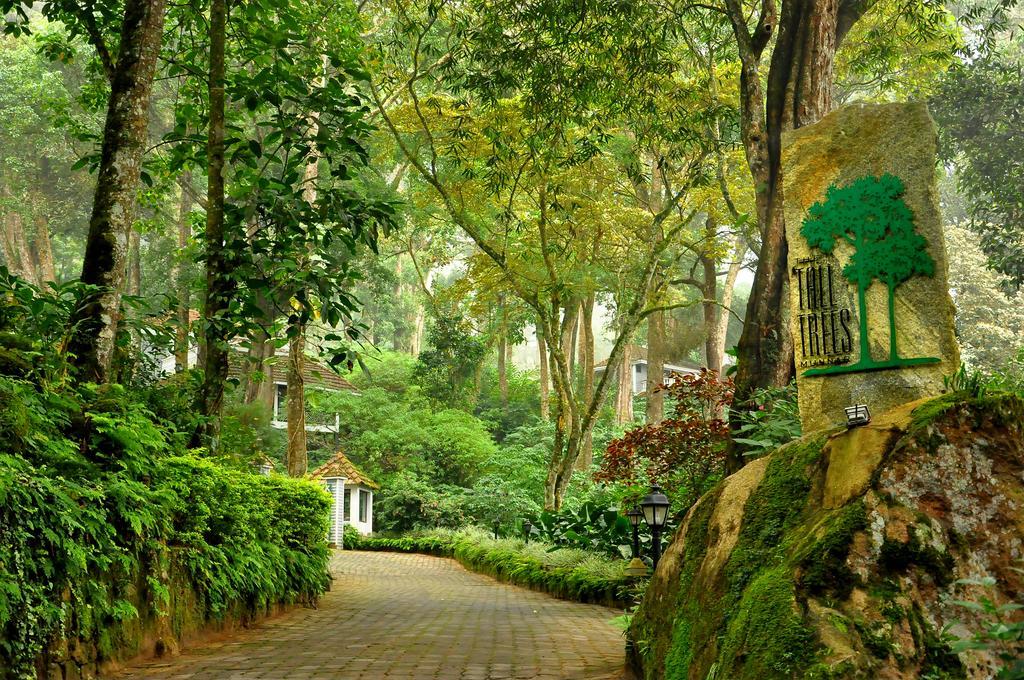 The Tall Trees Munnar Esterno foto