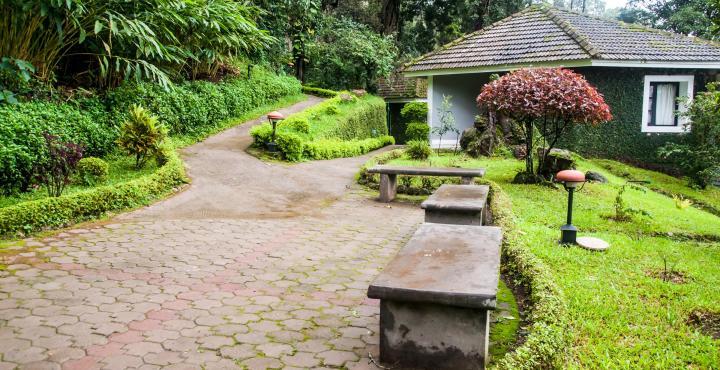 The Tall Trees Munnar Esterno foto