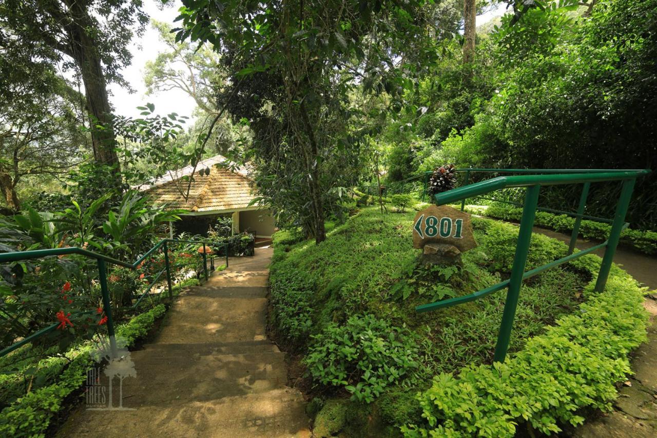 The Tall Trees Munnar Esterno foto