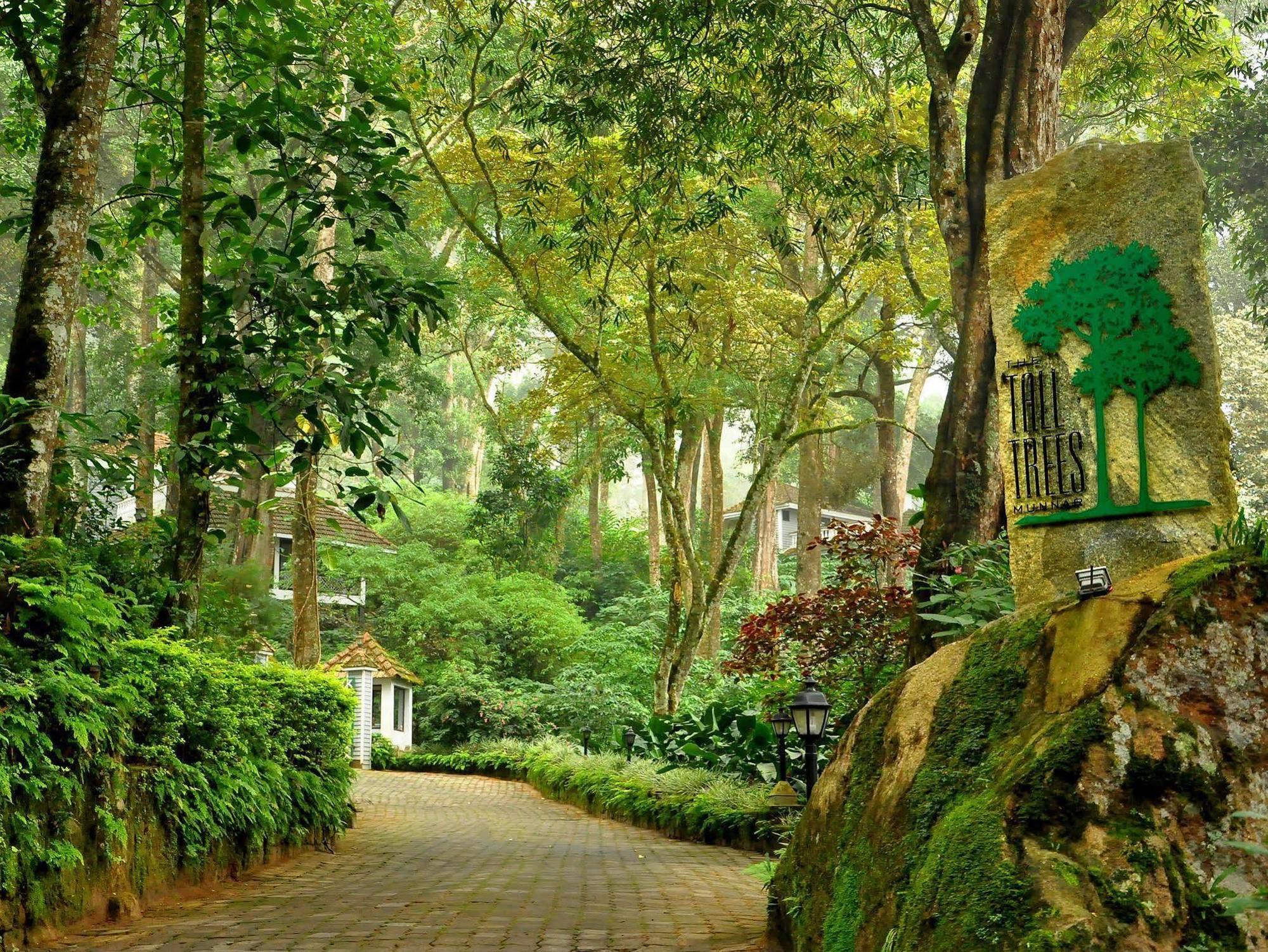 The Tall Trees Munnar Esterno foto