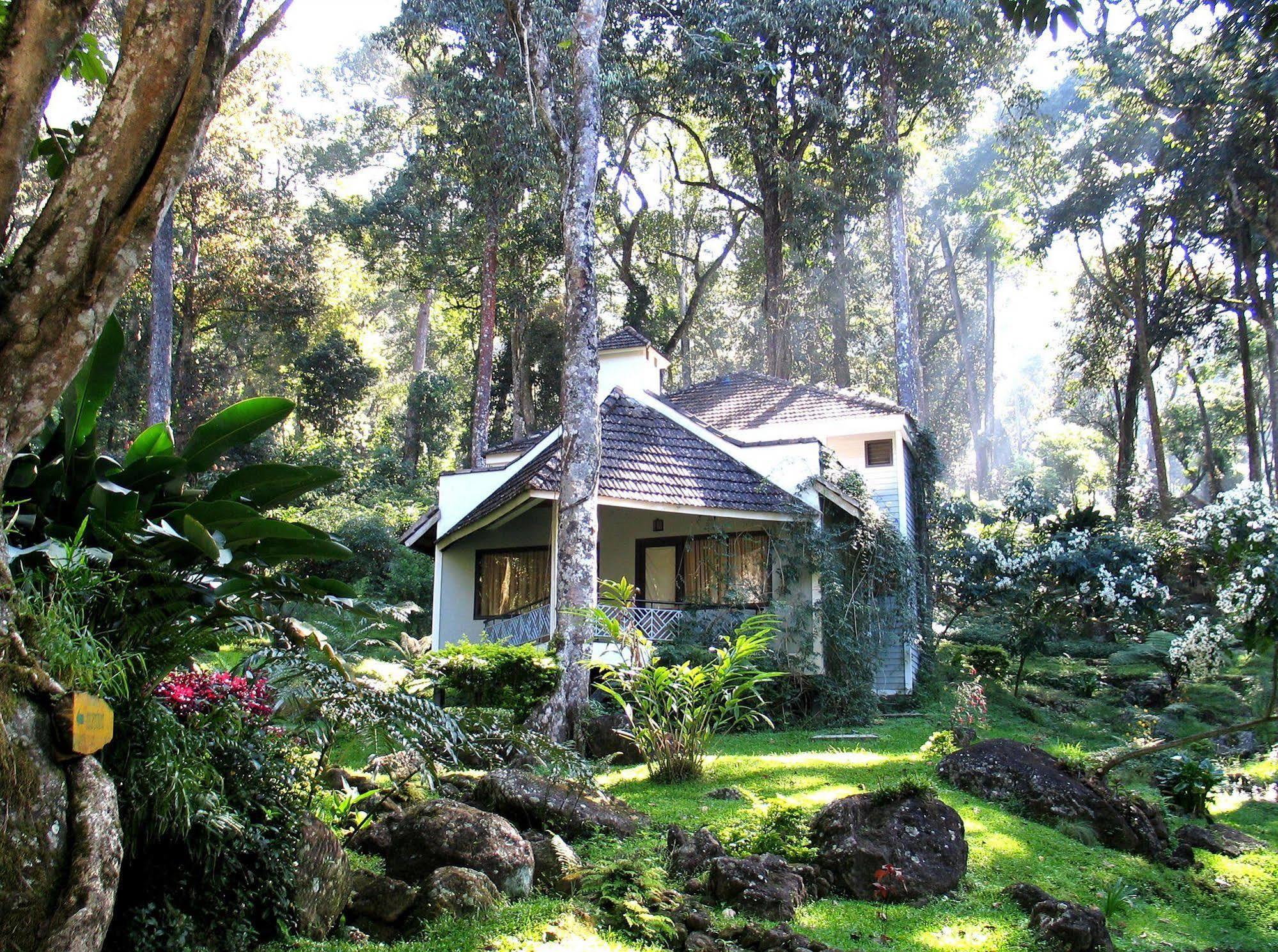 The Tall Trees Munnar Esterno foto