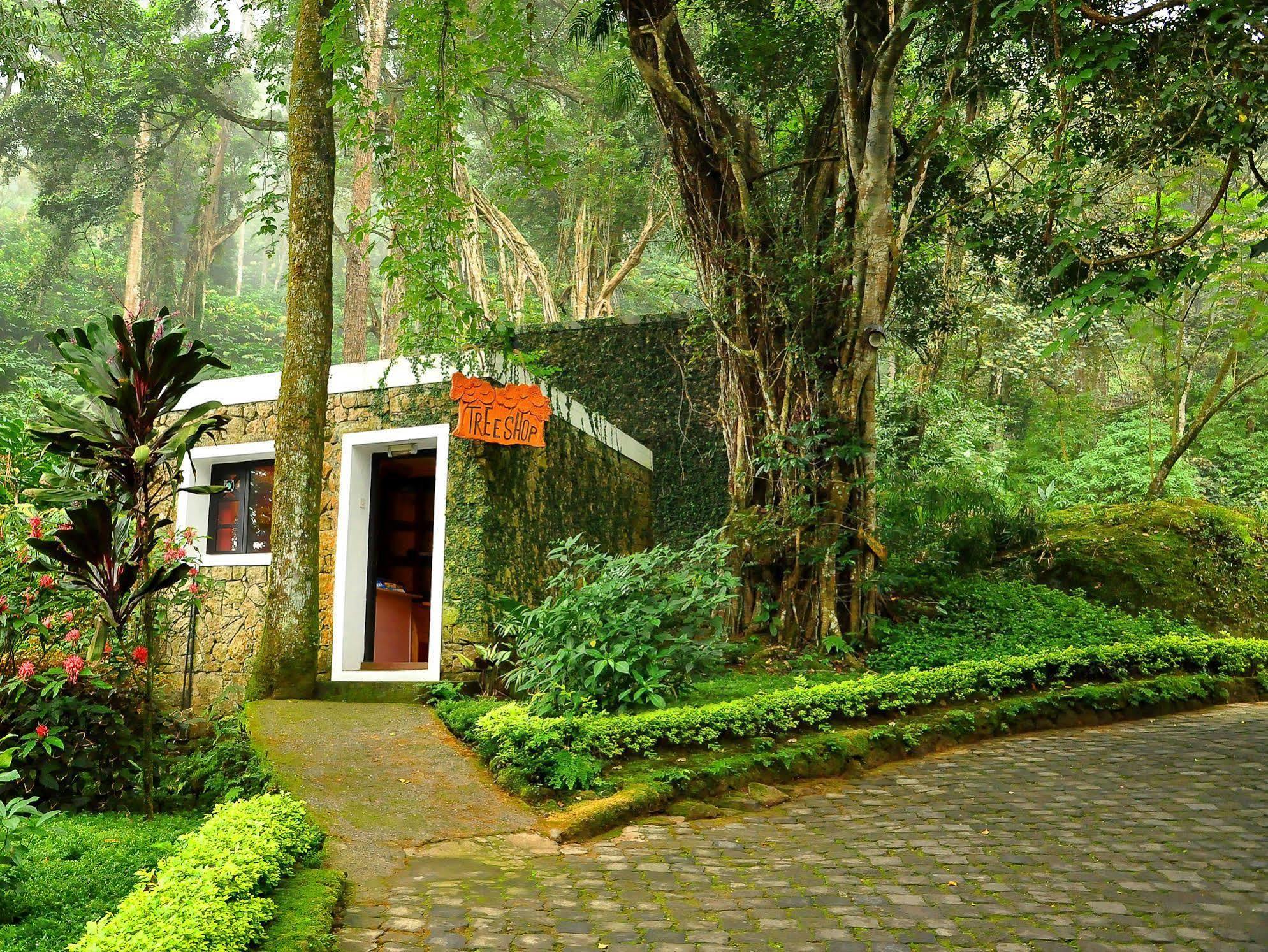 The Tall Trees Munnar Esterno foto