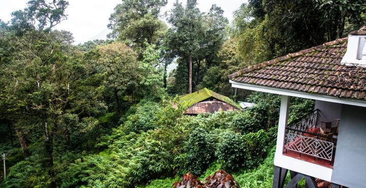 The Tall Trees Munnar Esterno foto