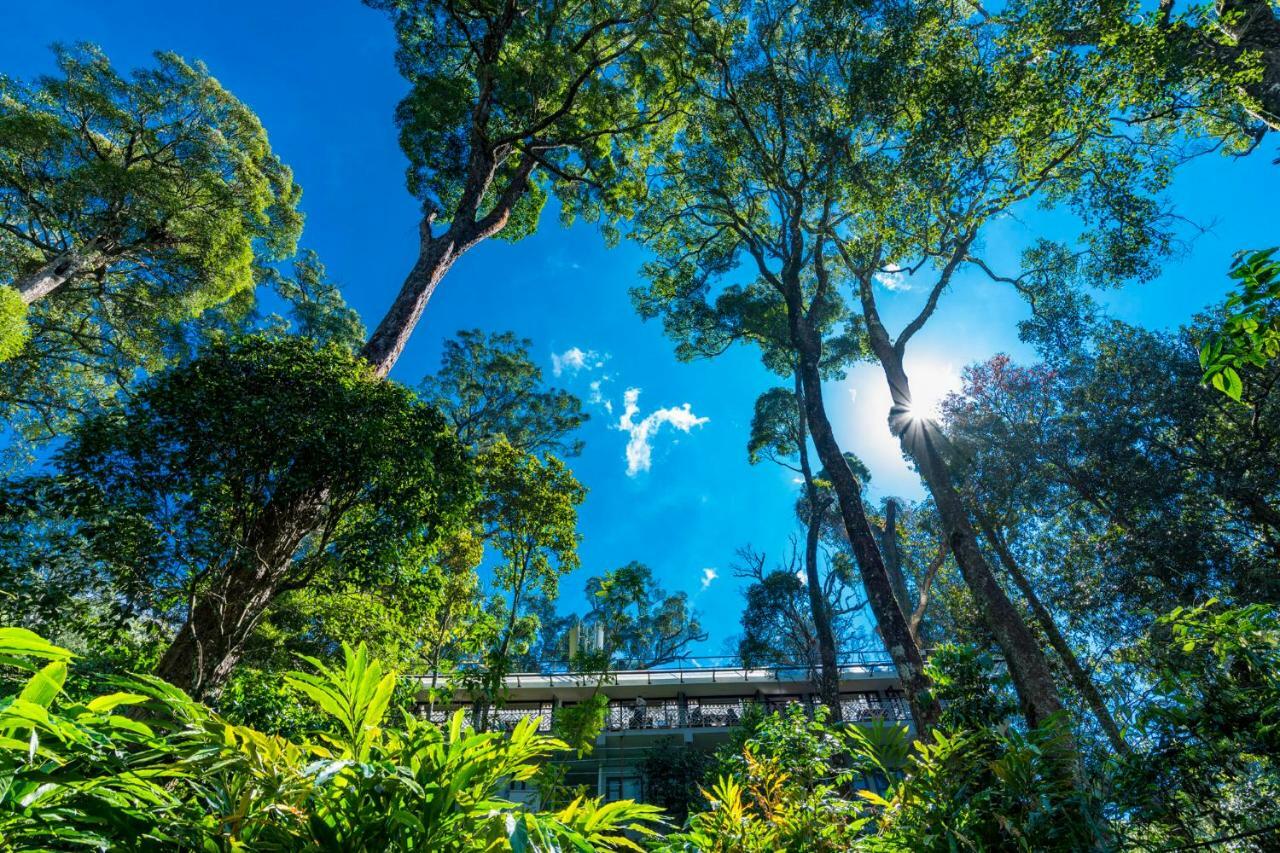 The Tall Trees Munnar Esterno foto