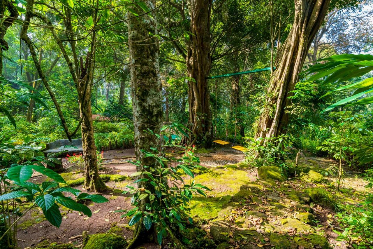 The Tall Trees Munnar Esterno foto