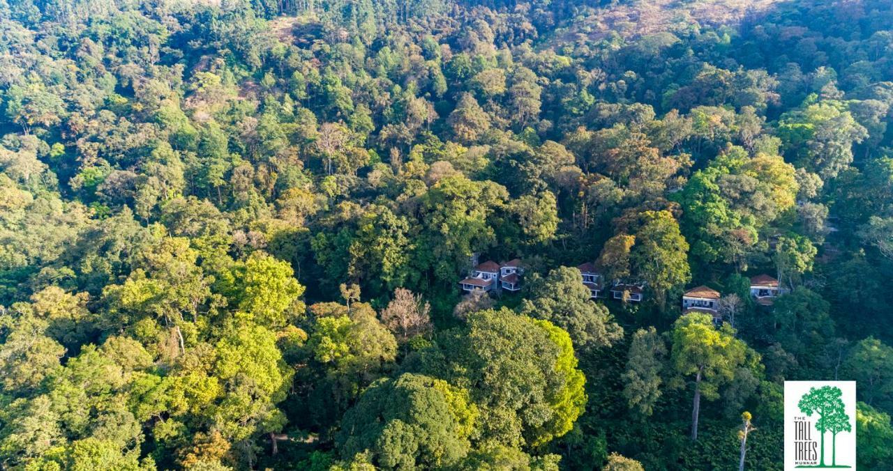 The Tall Trees Munnar Esterno foto