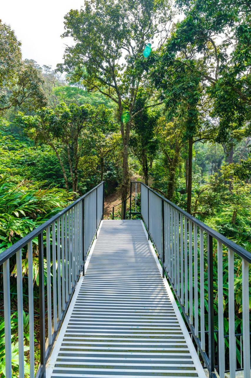 The Tall Trees Munnar Esterno foto