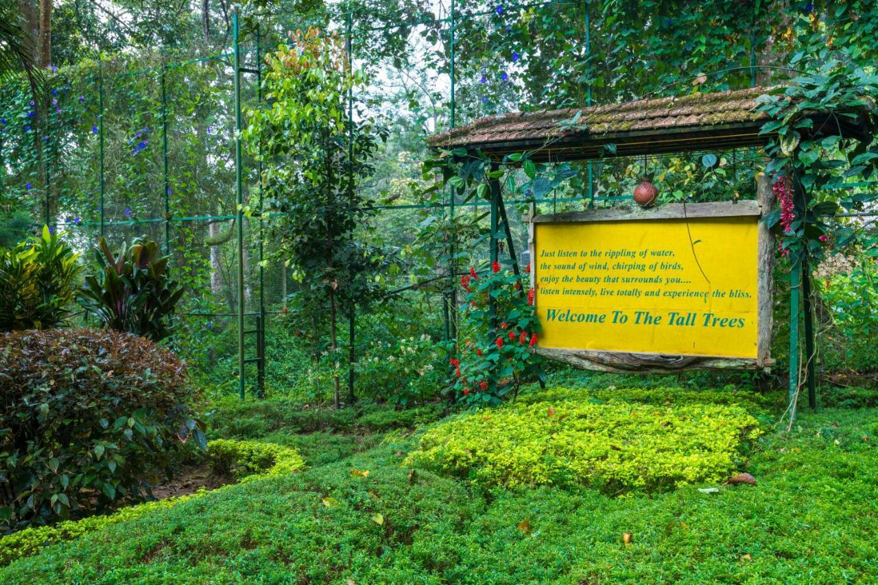 The Tall Trees Munnar Esterno foto