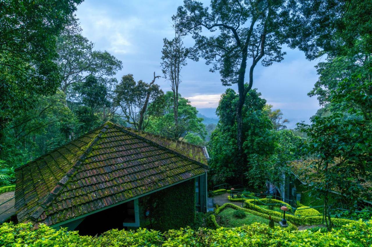 The Tall Trees Munnar Esterno foto