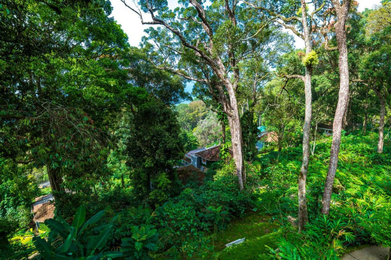 The Tall Trees Munnar Esterno foto
